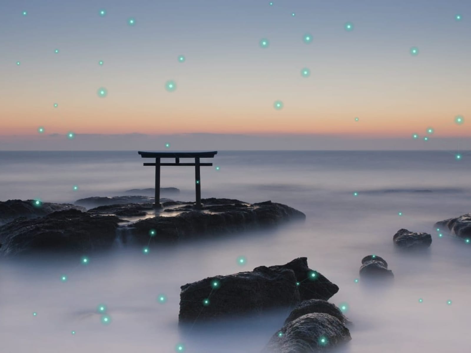 Shrine DX Advisory Service